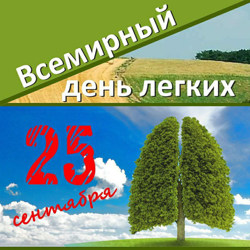 IMG_20230925_112213_998