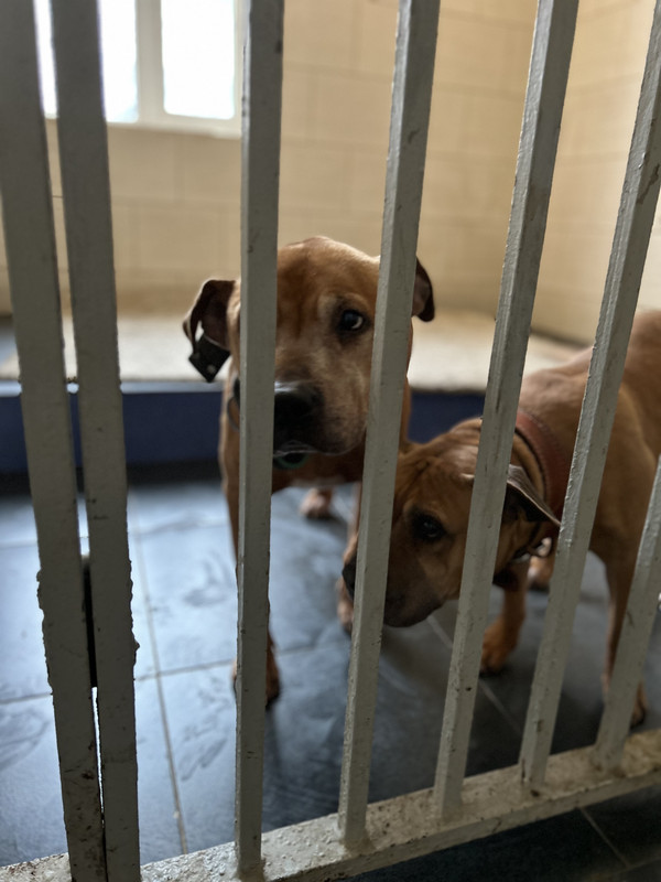 41B9C385-41DB-4ECA-89E5-22FCAC426DA2