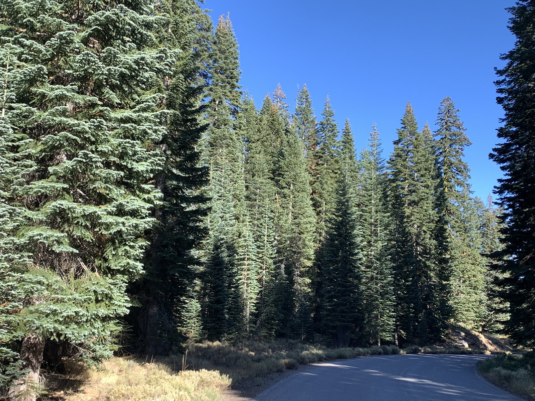 326110F1-0254-43A7-B34A-8C48311759FA