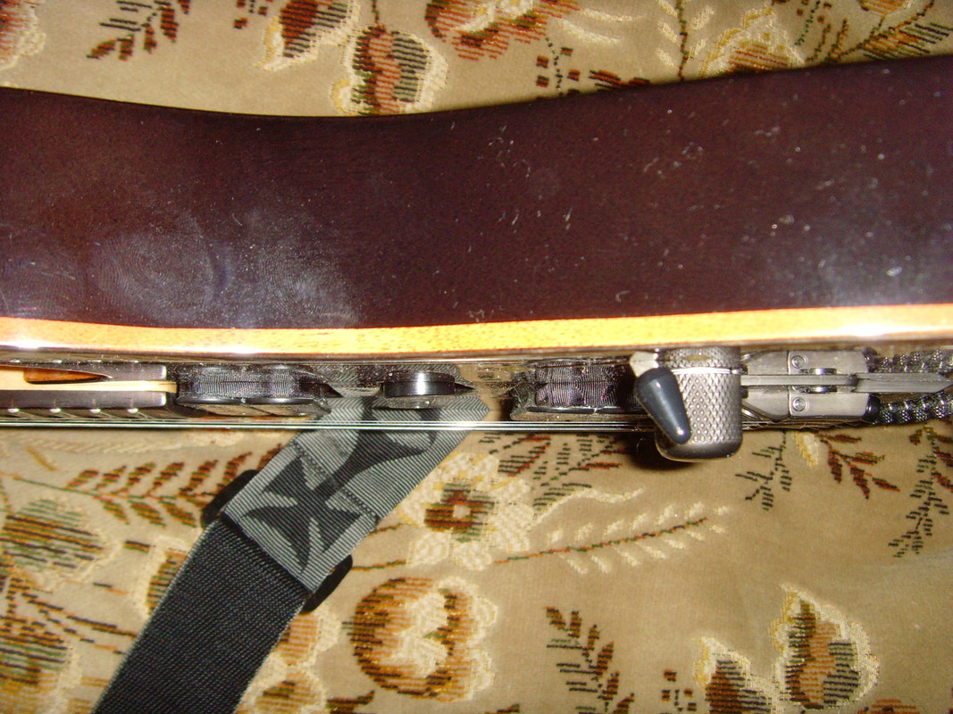SNV31378