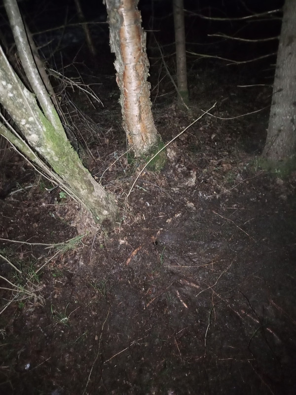 IMG 20260405 202251 419