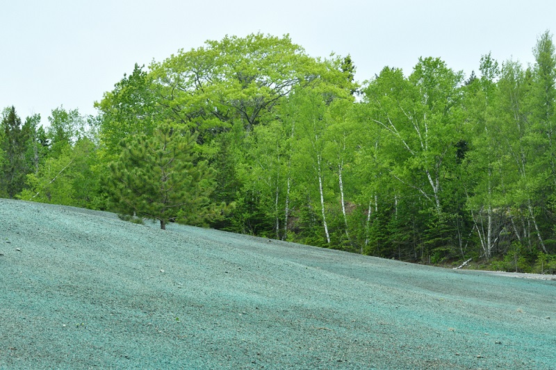 Hydroseeding 