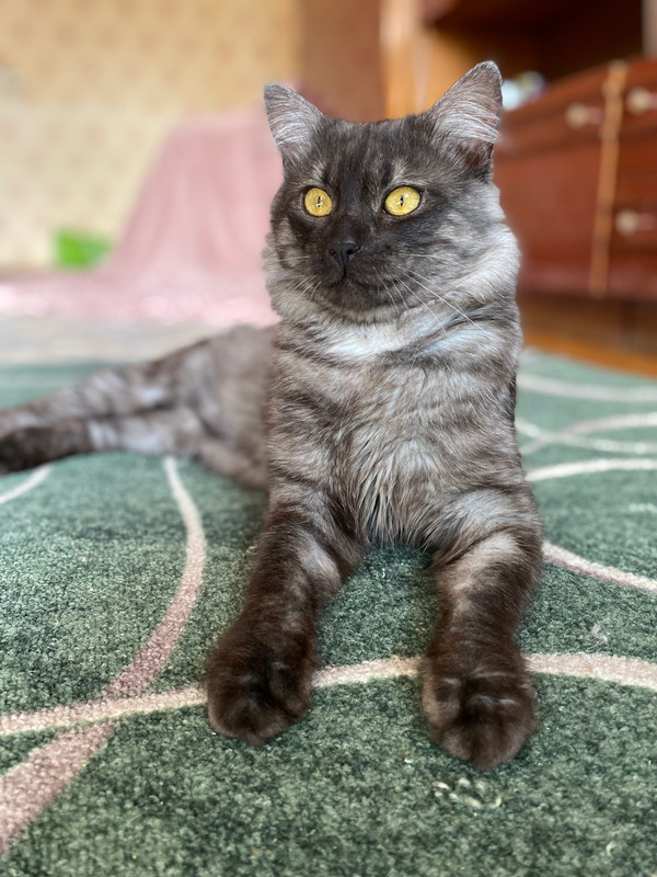 image-11-06-23-09-24-16