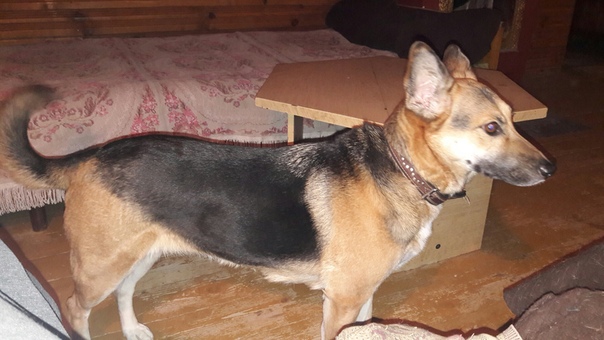 AFC21360-BA67-4AE7-8EE1-66DD4DD38D54