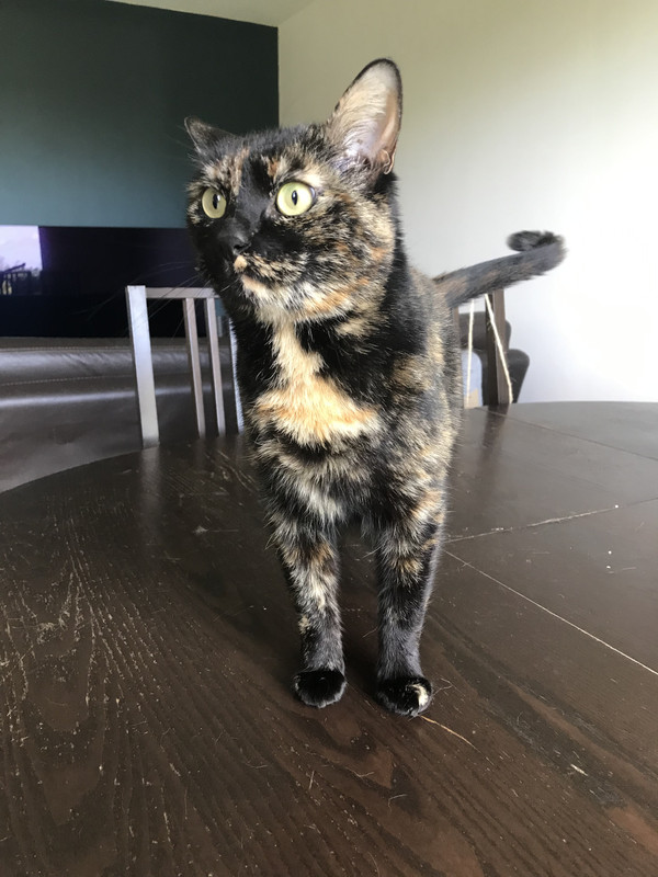 C021C6D0-54E9-437E-90E8-F86E61DD6BCF