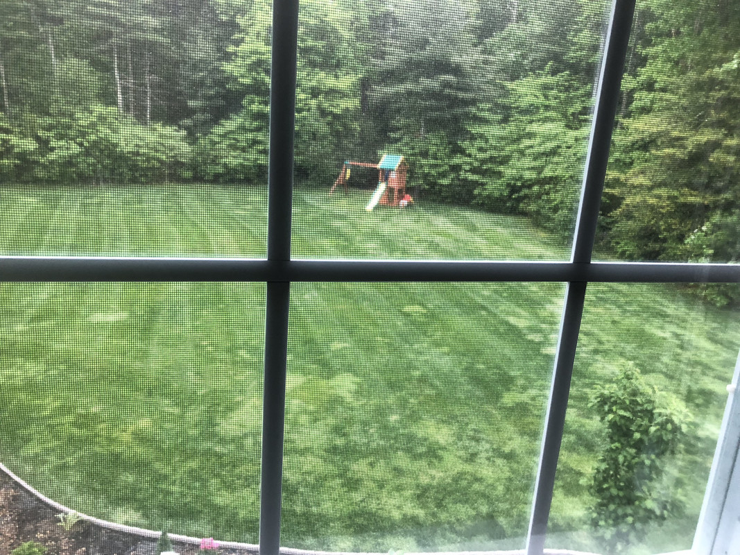 3E447455-7ABB-4B5F-BCCF-25BAE31994D6