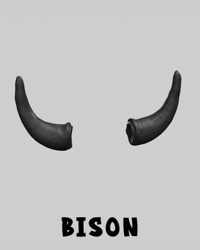 Bison Horns