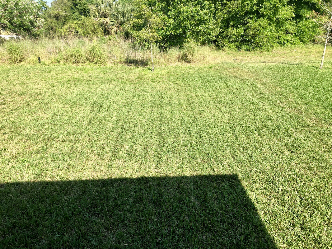 94E48CC5-6797-49CC-9646-F10B656CD126