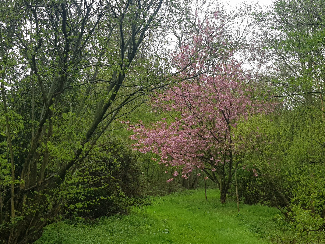 20180428_152216