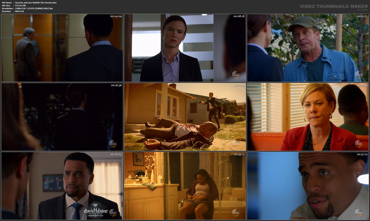 Secrets and Lies S02E06 The Parent.mkv
