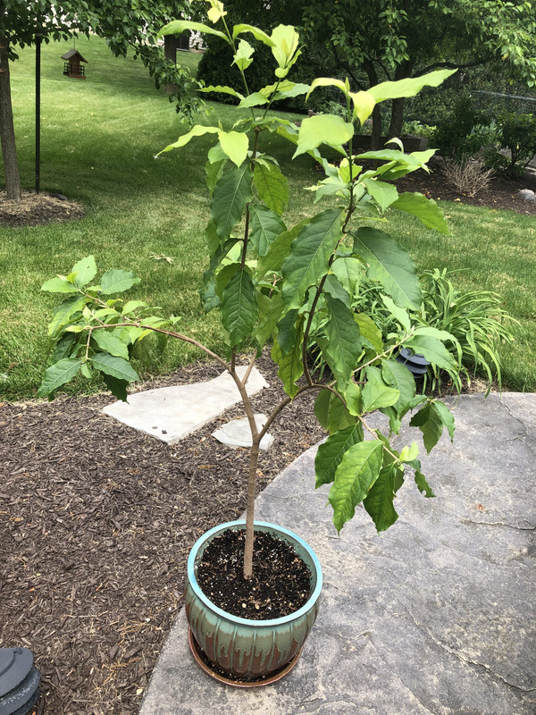 D49AAB26-620C-461D-8E9A-2F2BC623AB1B