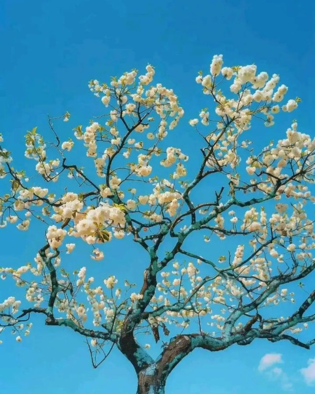 Screenshot_20240426_083408_Threads