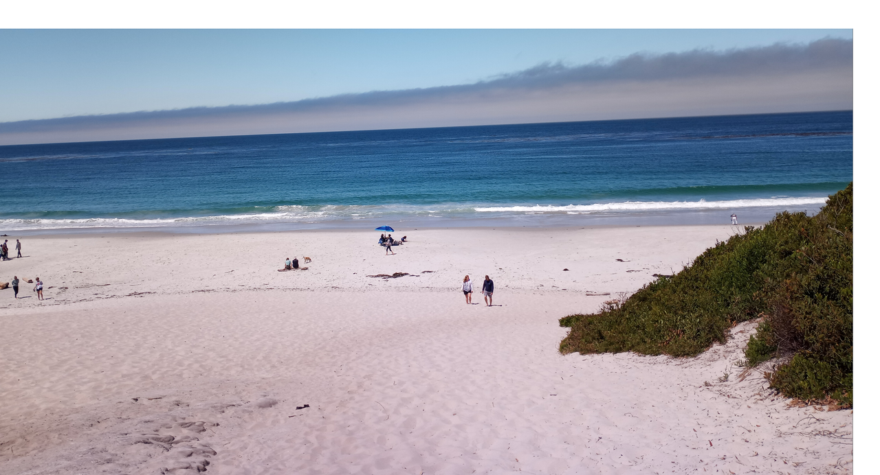 [Image: Carmel2.png]