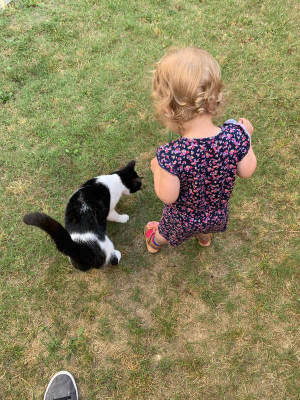 AED865B3-CCD3-4F7F-ABED-20B6592DB260