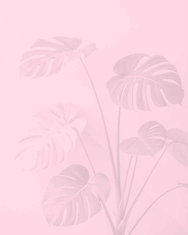 SirensGarden6