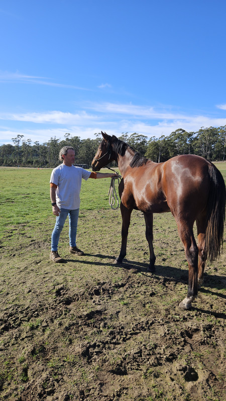 Harry Angel x Sh'bourne Spirit