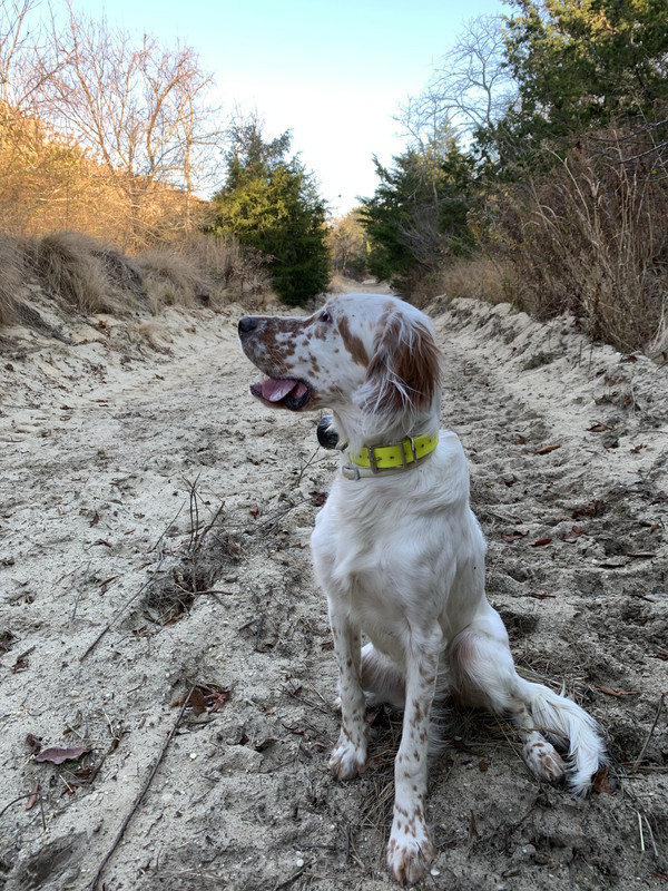 77E71450-7B55-4DD3-A3EF-4F7C4DA356DF