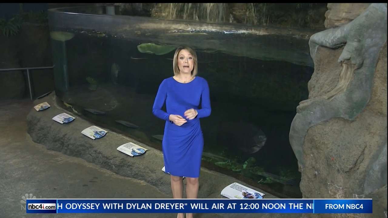 11.07 - 15.00.00 - Earth Odyssey With Dylan Dreyer. The world's smart....ts_snapshot_00.25.04.721