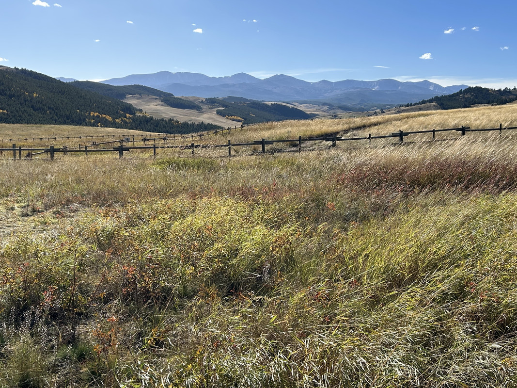 6E823907-1F50-4F4F-8508-1C46B4FD4D05