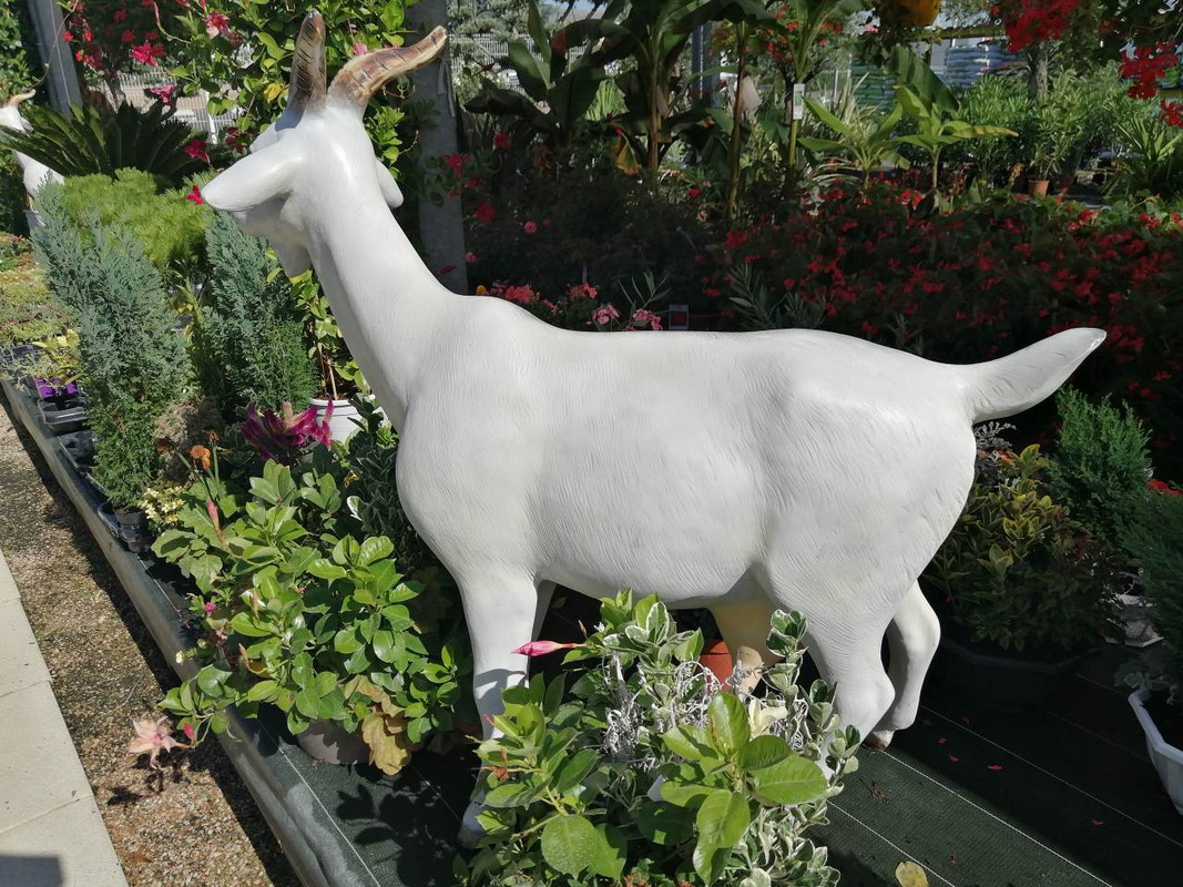 IMG-112b6494b33dcc6b9a2a2507a02597ac-V-1