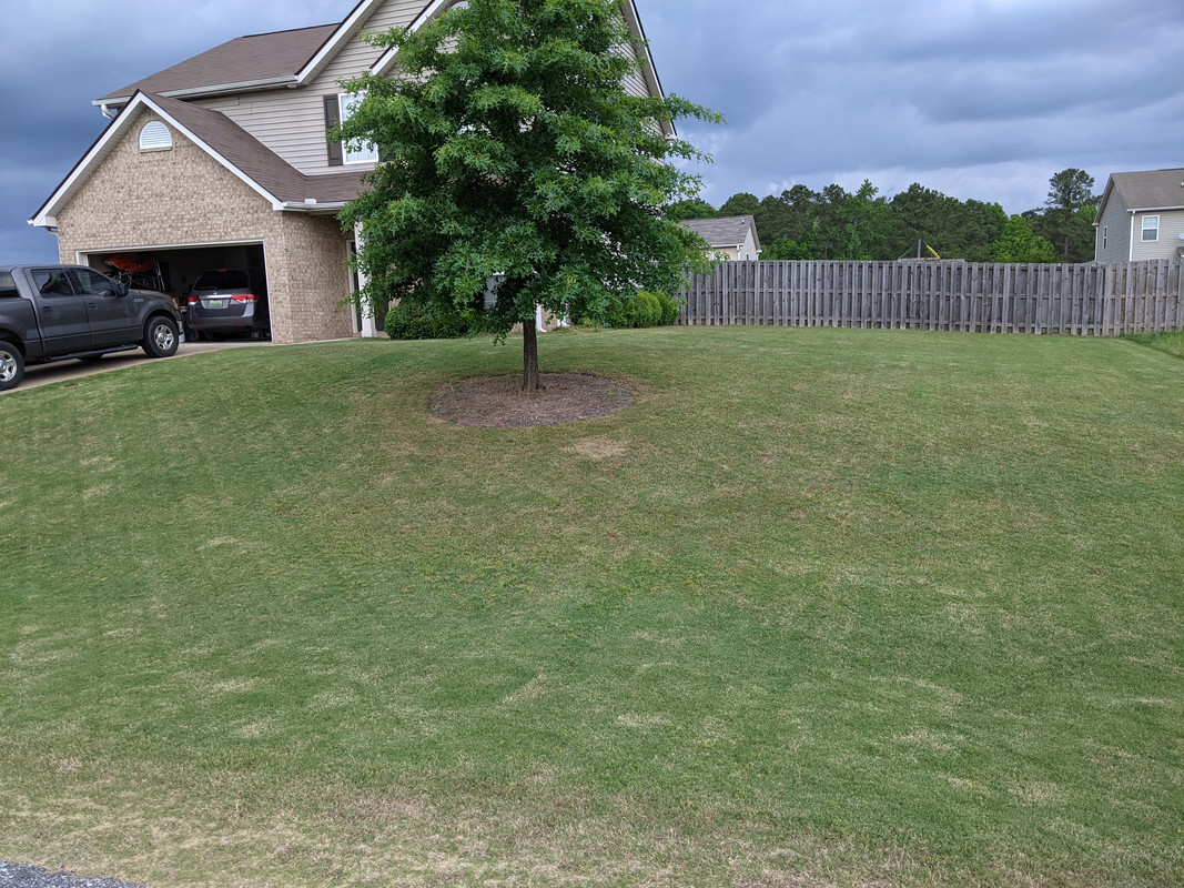 PXL_20210511_215523381