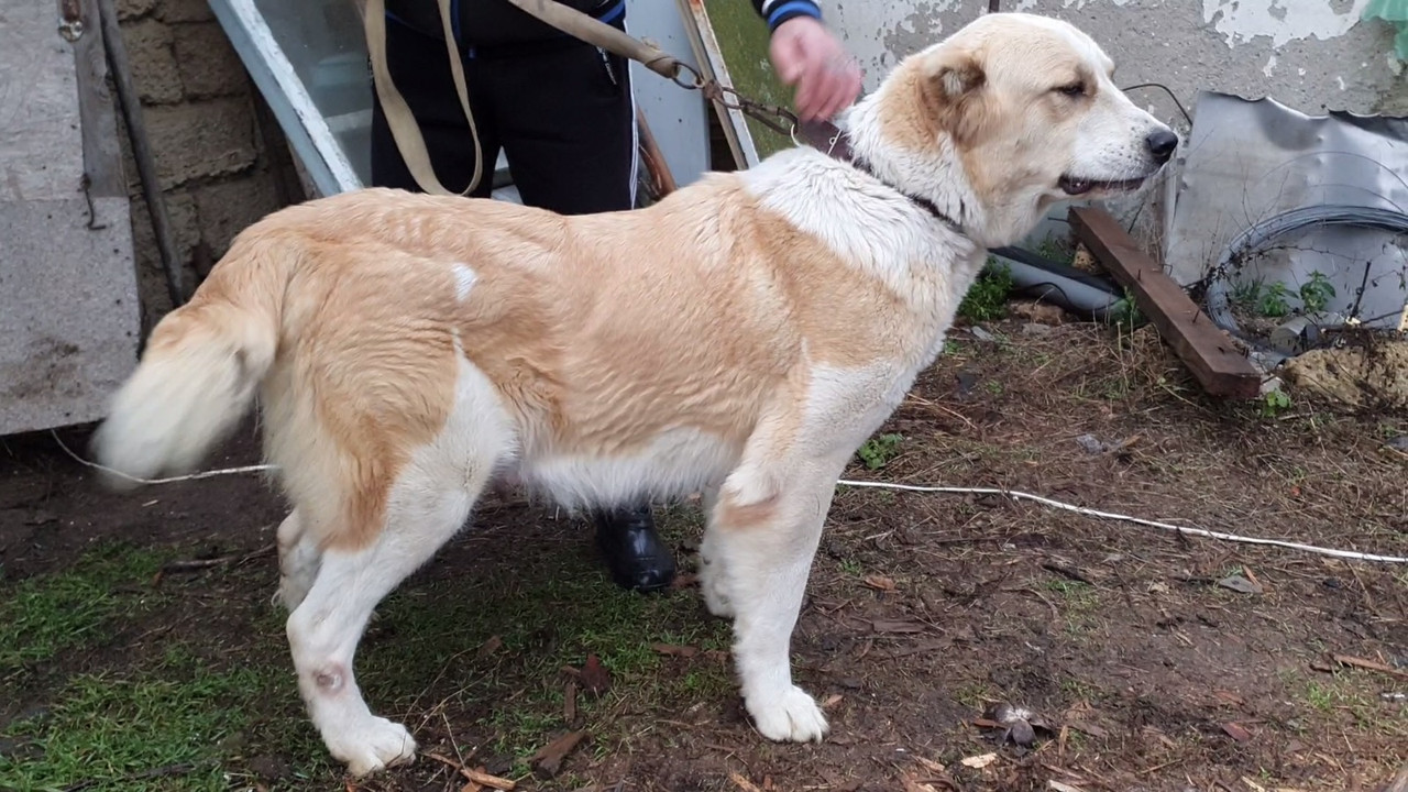 Безымянный