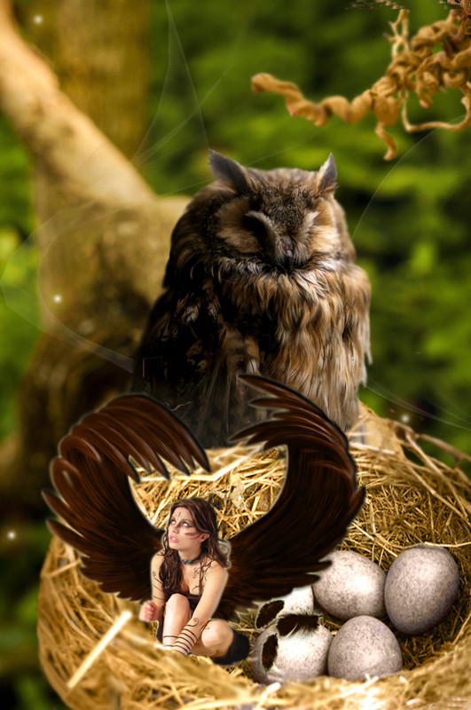 24FFE424-F64D-4749-BEA2-F4861150F071