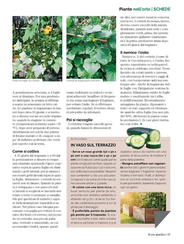 Il Mio Giar GIu-Lug 2023 (6)