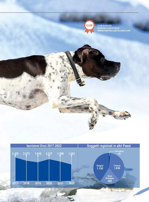 Il M C Mar-Apr 2024 (8)