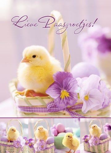 410e88fc7c4686f034eba27244e56147