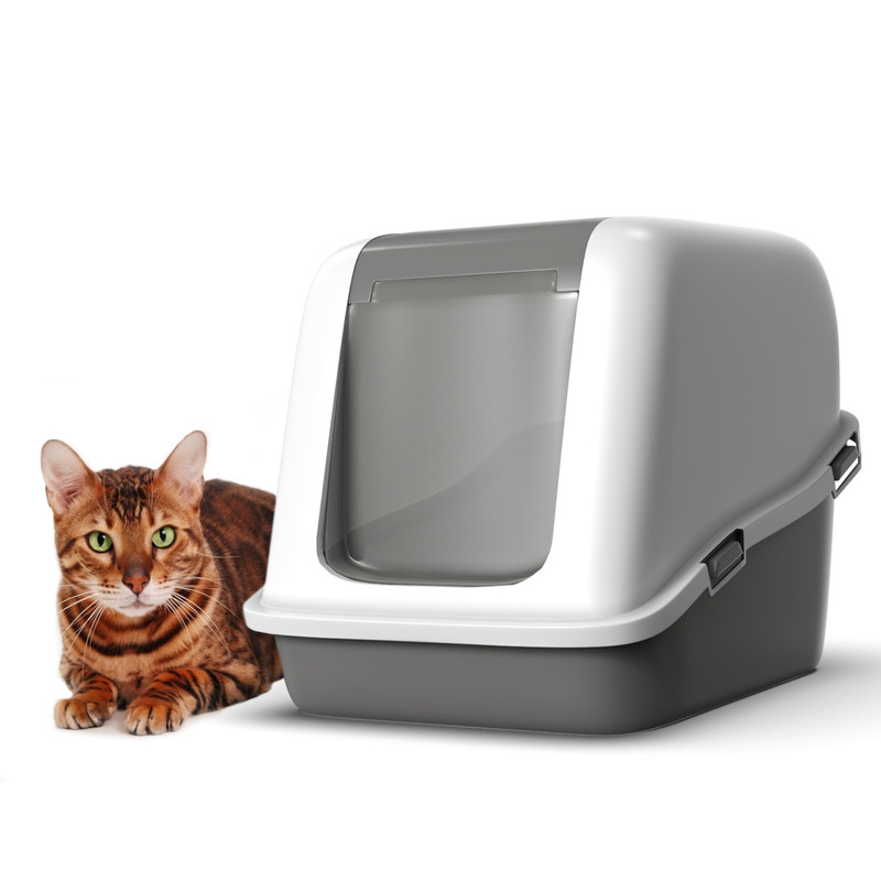 The Cost-Effective Benefits Of Investing In The Best Cat Litter Box