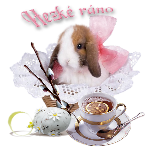 e6dab5fcaa-104100137-o2