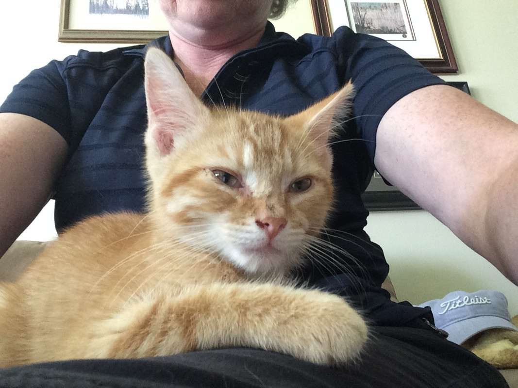 35531E8F-1268-42DF-8E50-47EB74E0CCDF