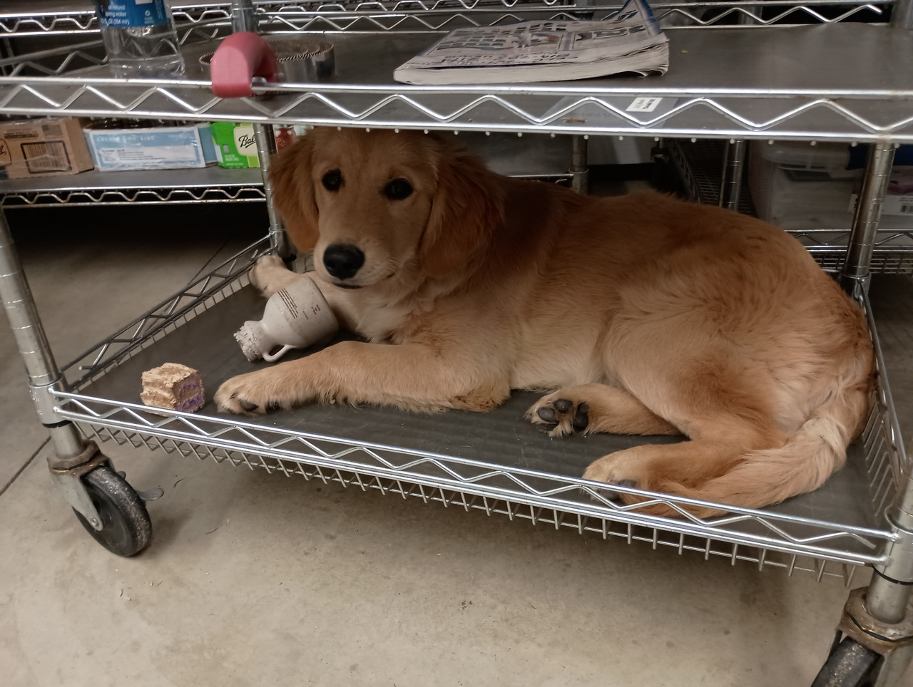 IMG 20251109 141305458