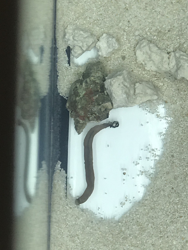 FB289E77-3908-412B-81D6-DEFE9C8D84B7