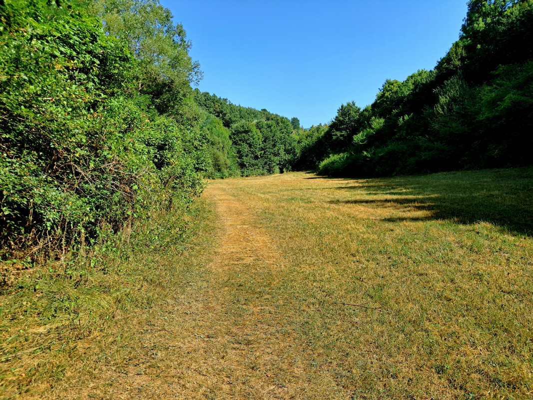 20240818-095424.jpg