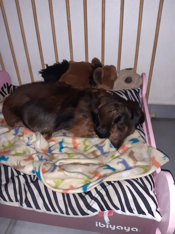 [Image: 20220829-072756.jpg]