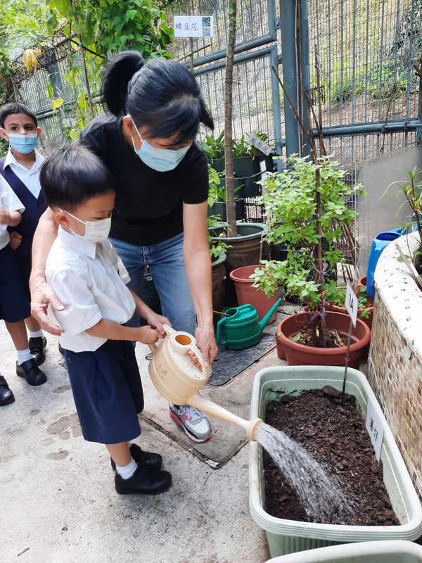 photo-littlefarmer2223-1A-015