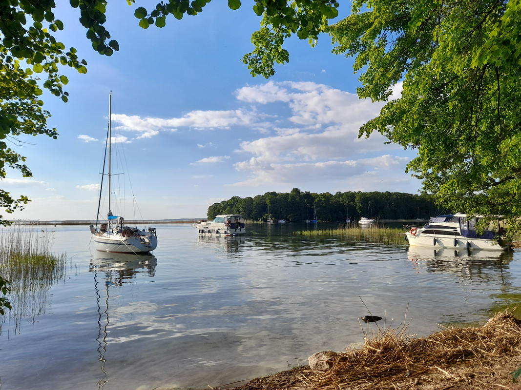 08.53 - 20210603_180417 (Aldona)