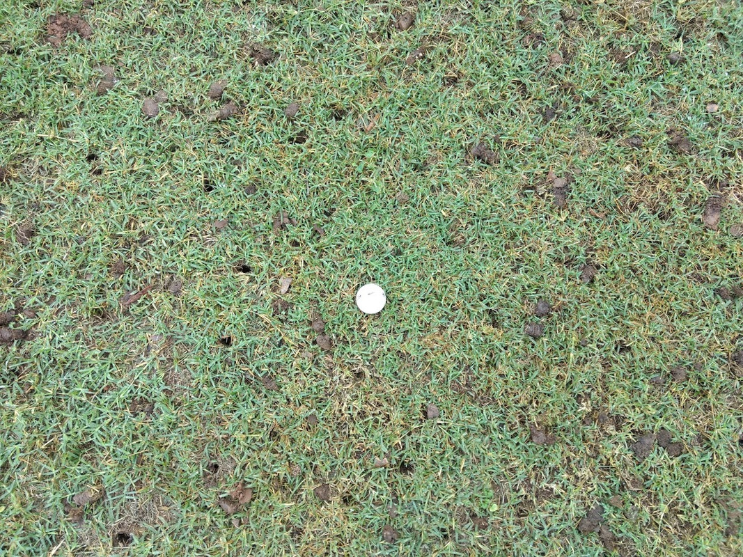 IMG_20190929_101421665