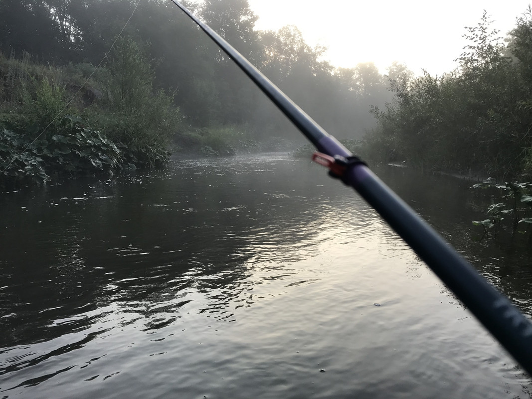 AD192F93-5A48-41AE-9E9E-0D70F0CF6C0E