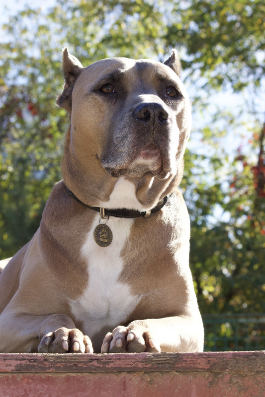 5A906133-CE14-4BE3-ABC0-BCC8118463A0