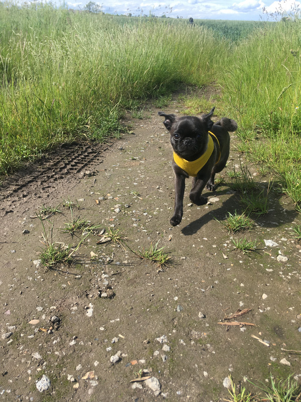 58FD1DE5-93DD-4C19-A8D3-C3D7A5224172