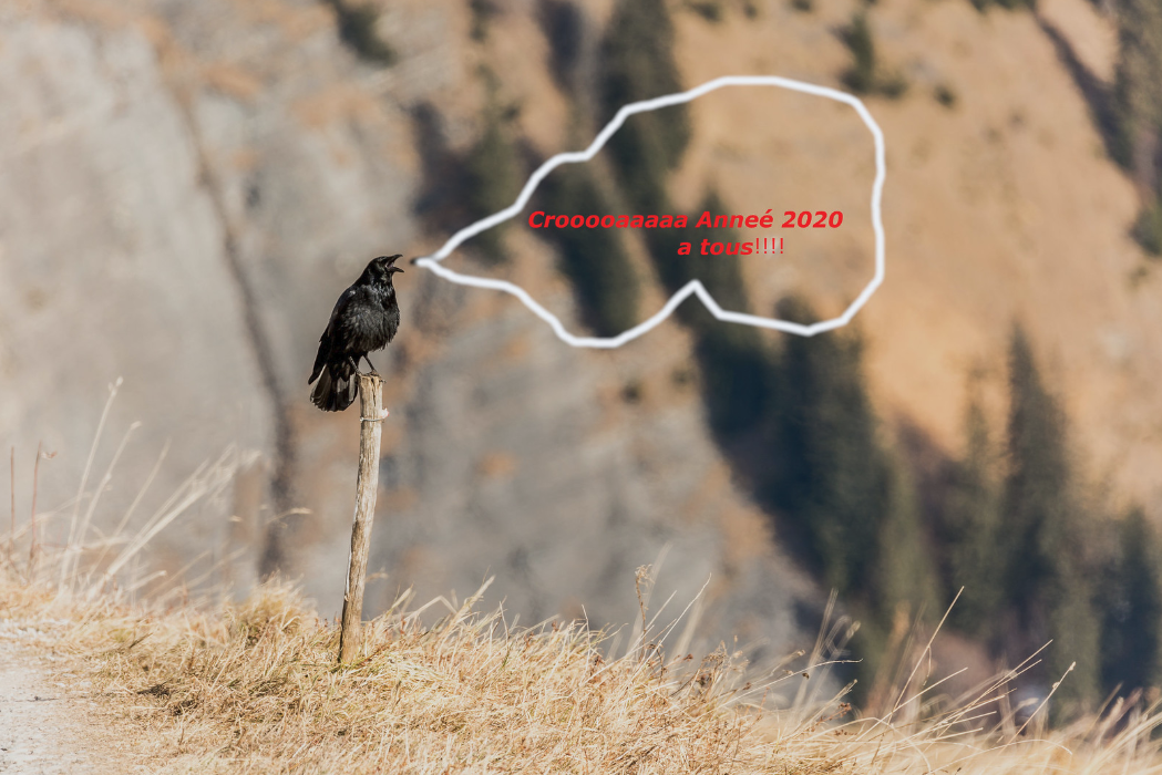 Capture d’écran 2019-12-31 à 16.05.17