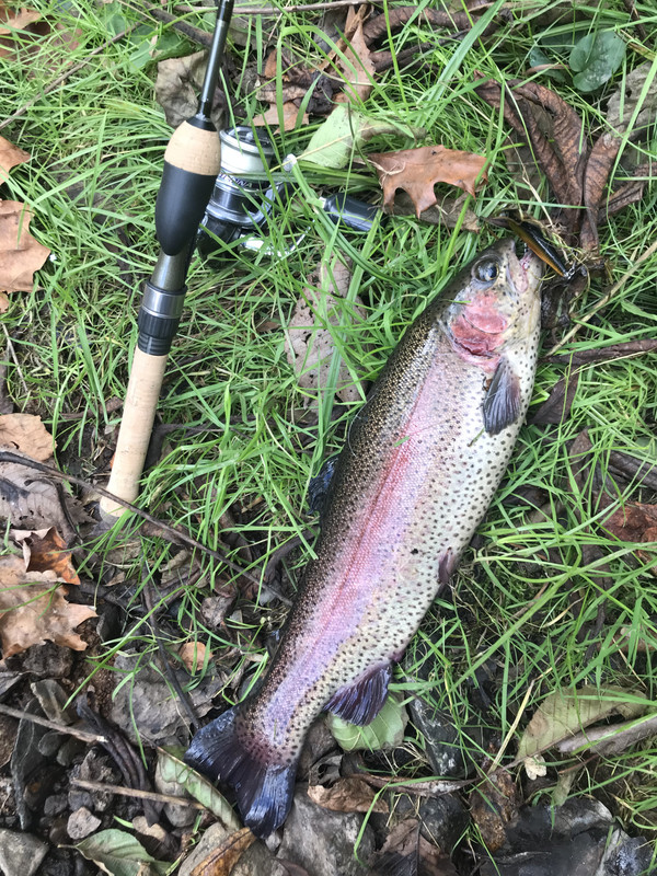 EE262D0A-EAC6-4DBE-887D-C5B44A19441B