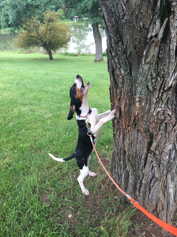 7DB612F9-357E-449D-8C65-46FCFF2C4F49