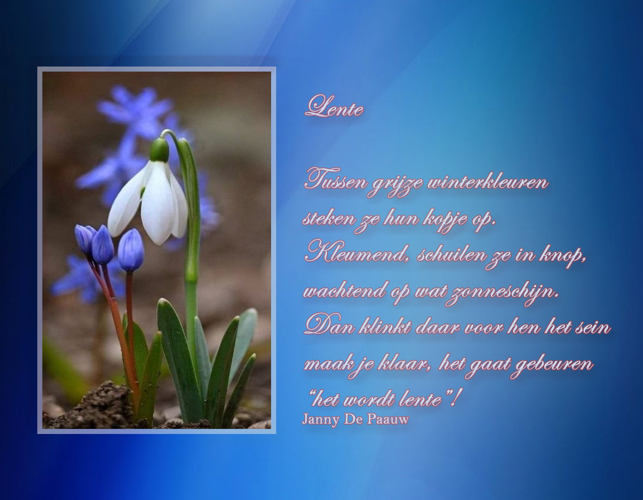 6fc6ac164b36d4188ecf4f099de2852e