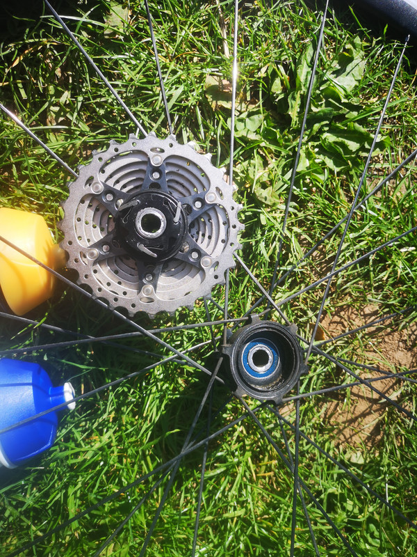 IMG-20190601-163253.jpg