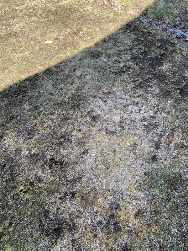 092B5974-B89C-4130-B176-FCE105CCEE42