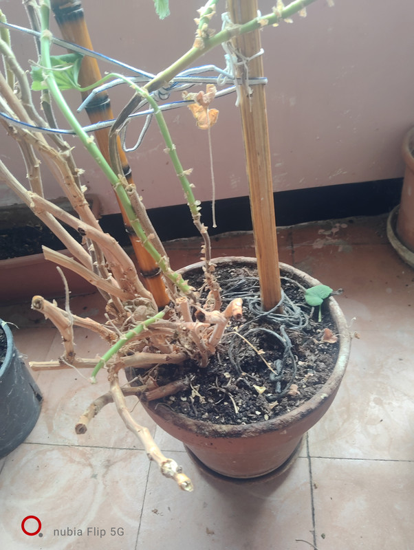 IMG 20260811 163348